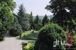 Galeriebild